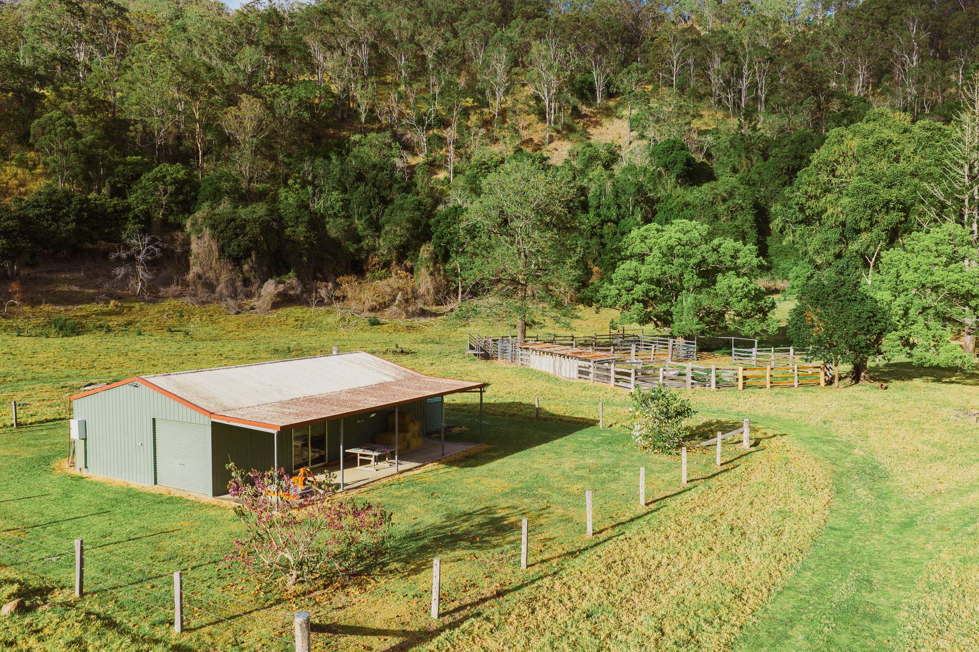 597 Sarabah Road, Sarabah For Sale by Farmbuy.com - image 20