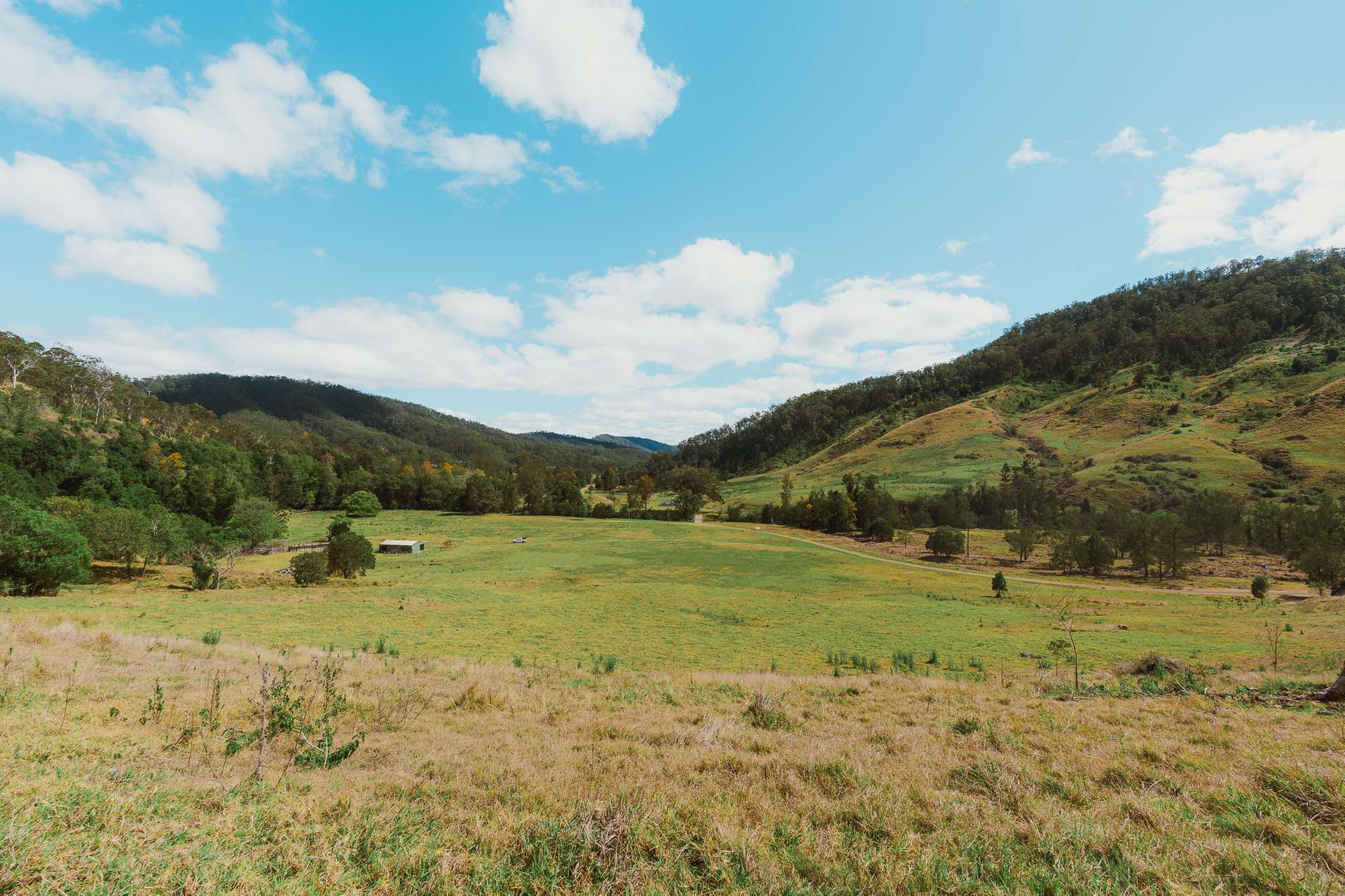 597 Sarabah Road, Sarabah For Sale by Farmbuy.com - image 22