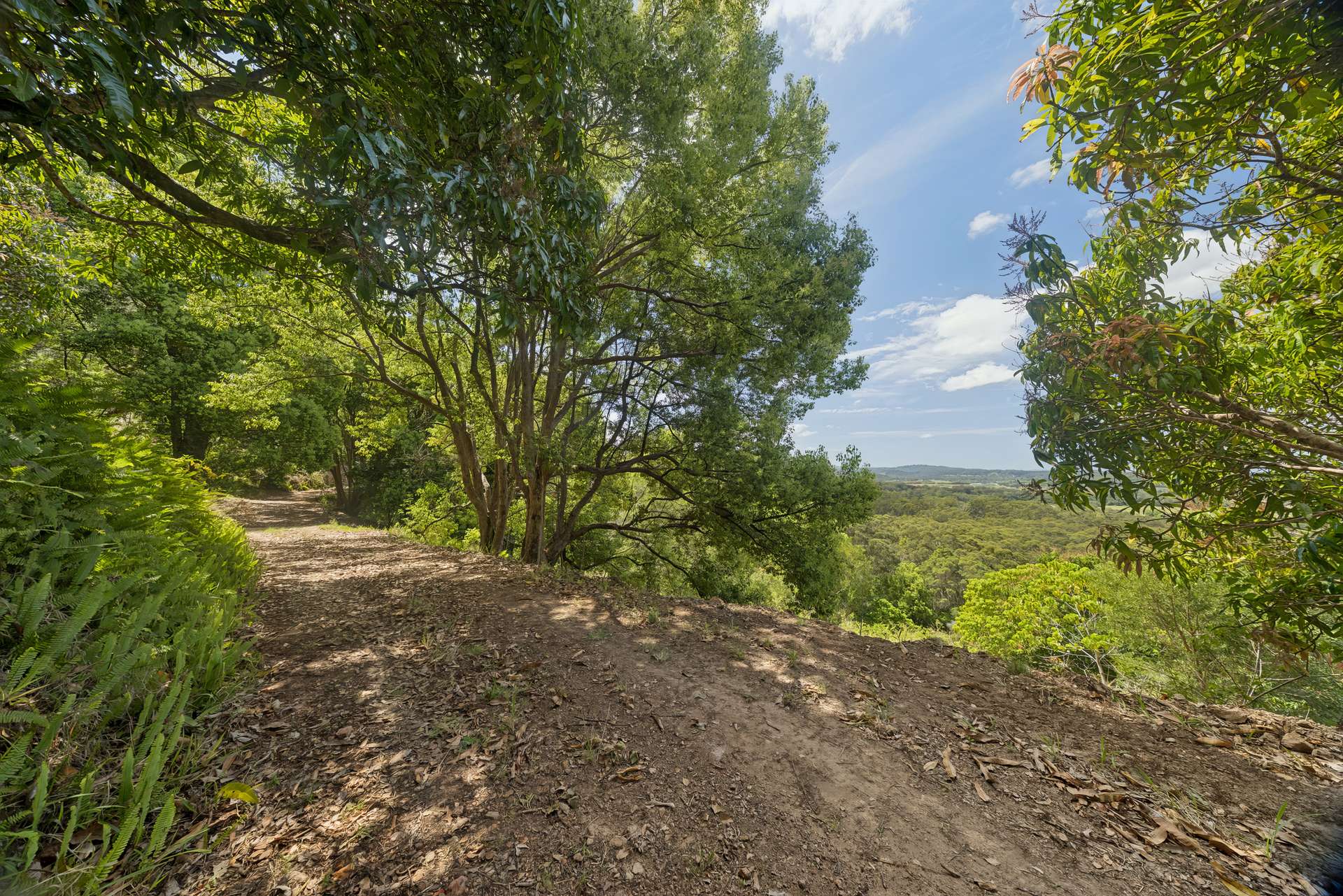 77 Kromes Road, North Arm For Sale by Farmbuy.com - image 26