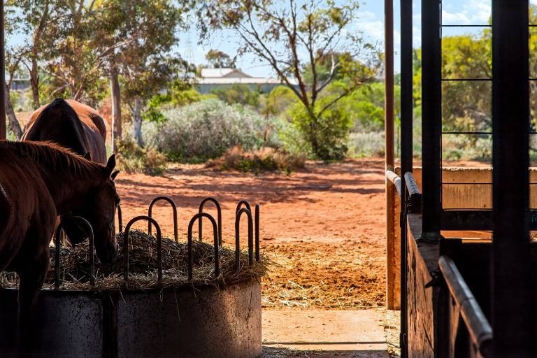 107 Racecourse Road, Port Augusta For Sale by Farmbuy.com - image 14