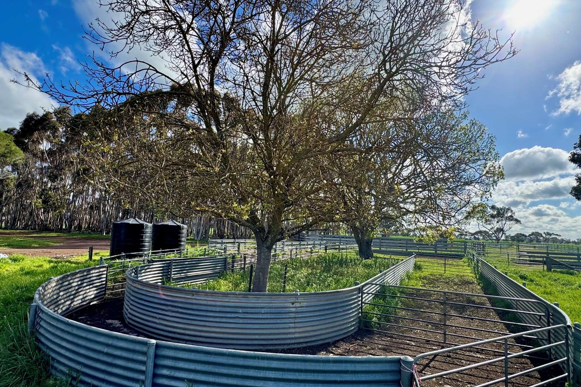 433 South Road, Mortlake For Sale by Farmbuy.com - image 8
