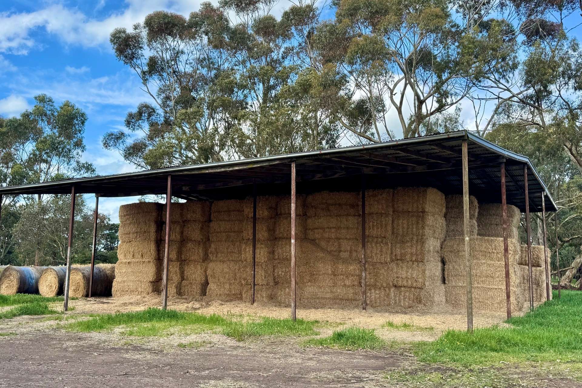 433 South Road, Mortlake For Sale by Farmbuy.com - image 5