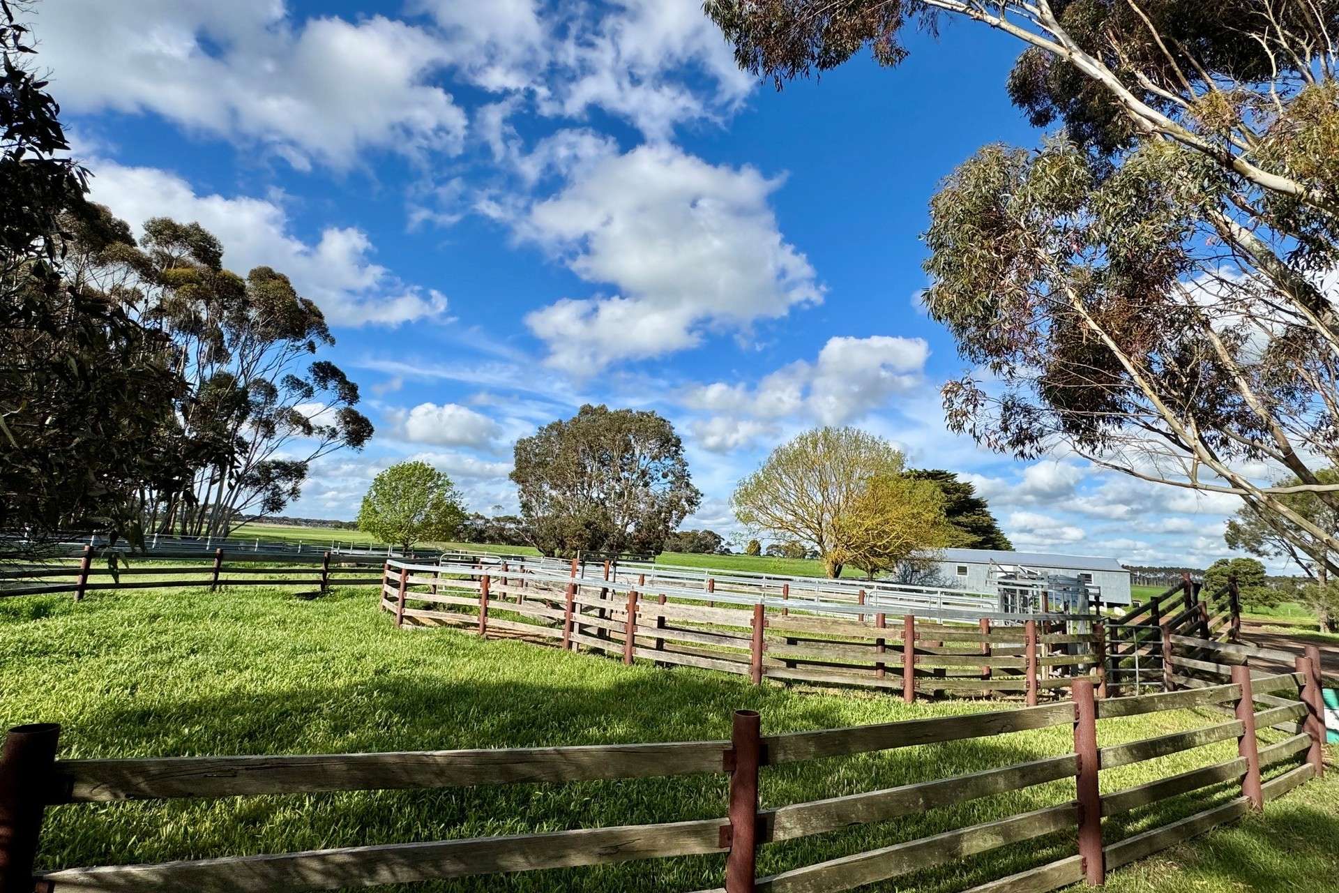 433 South Road, Mortlake For Sale by Farmbuy.com - image 13