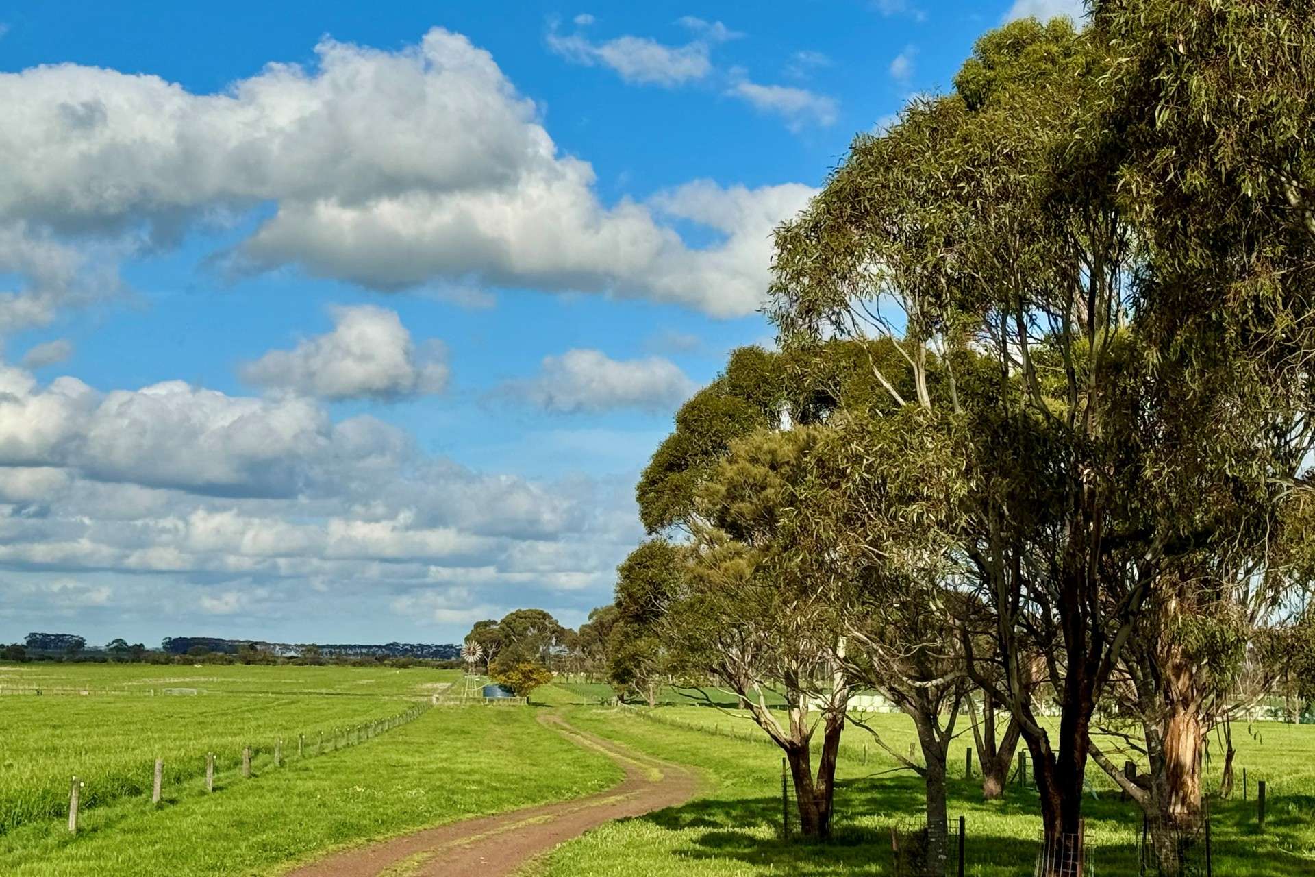 433 South Road, Mortlake For Sale by Farmbuy.com - image 12