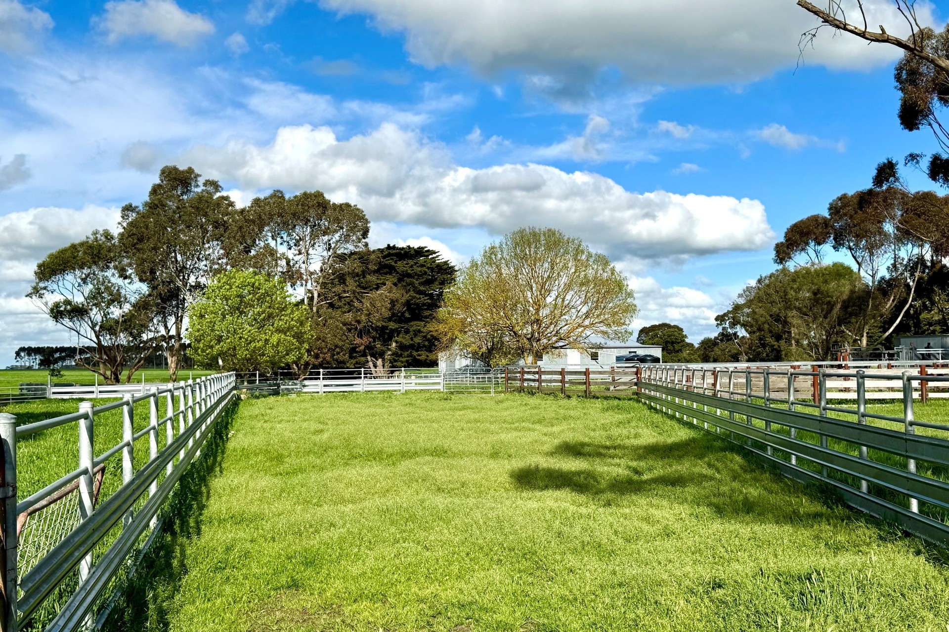 433 South Road, Mortlake For Sale by Farmbuy.com - image 14