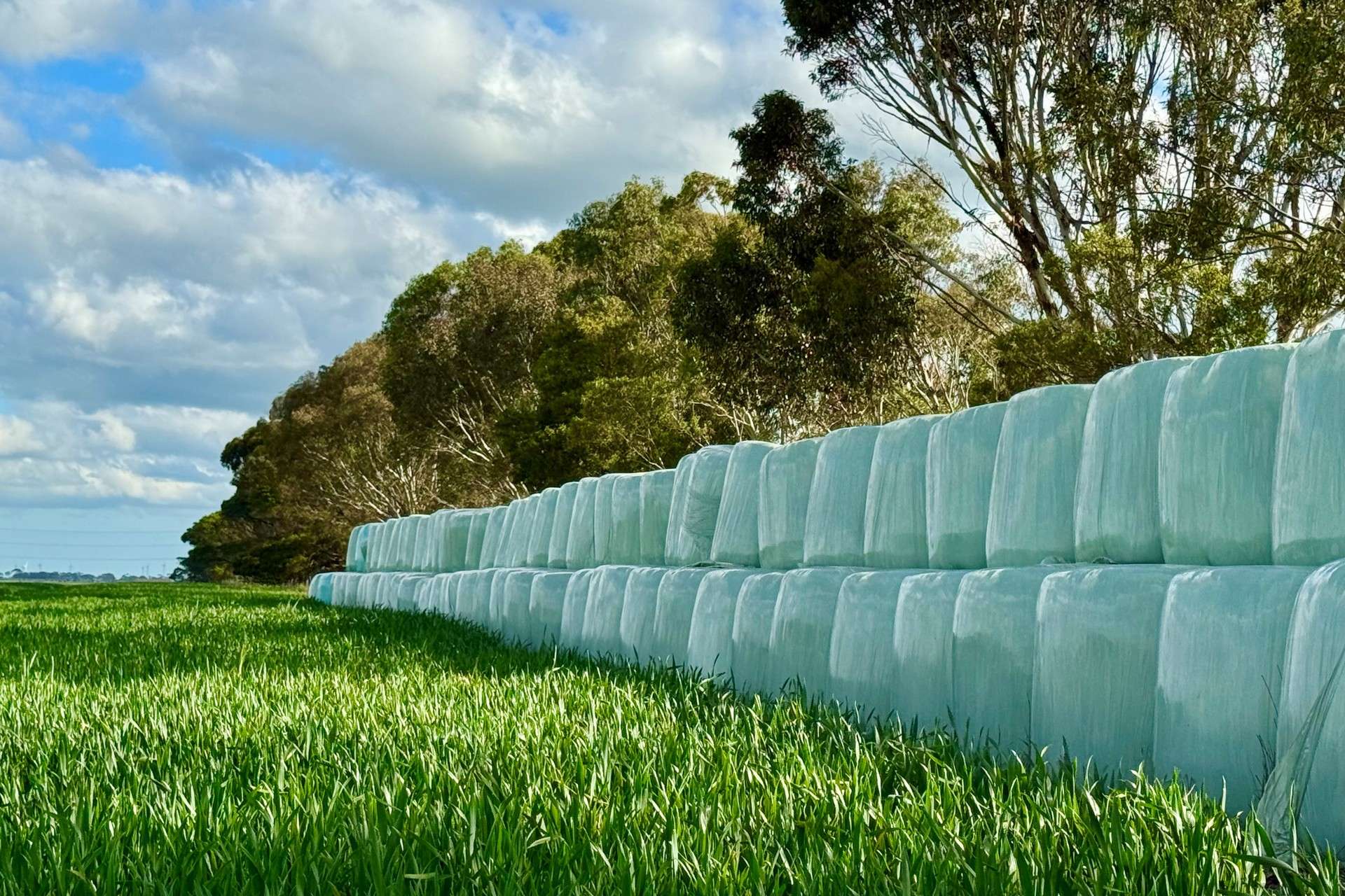 433 South Road, Mortlake For Sale by Farmbuy.com - image 20