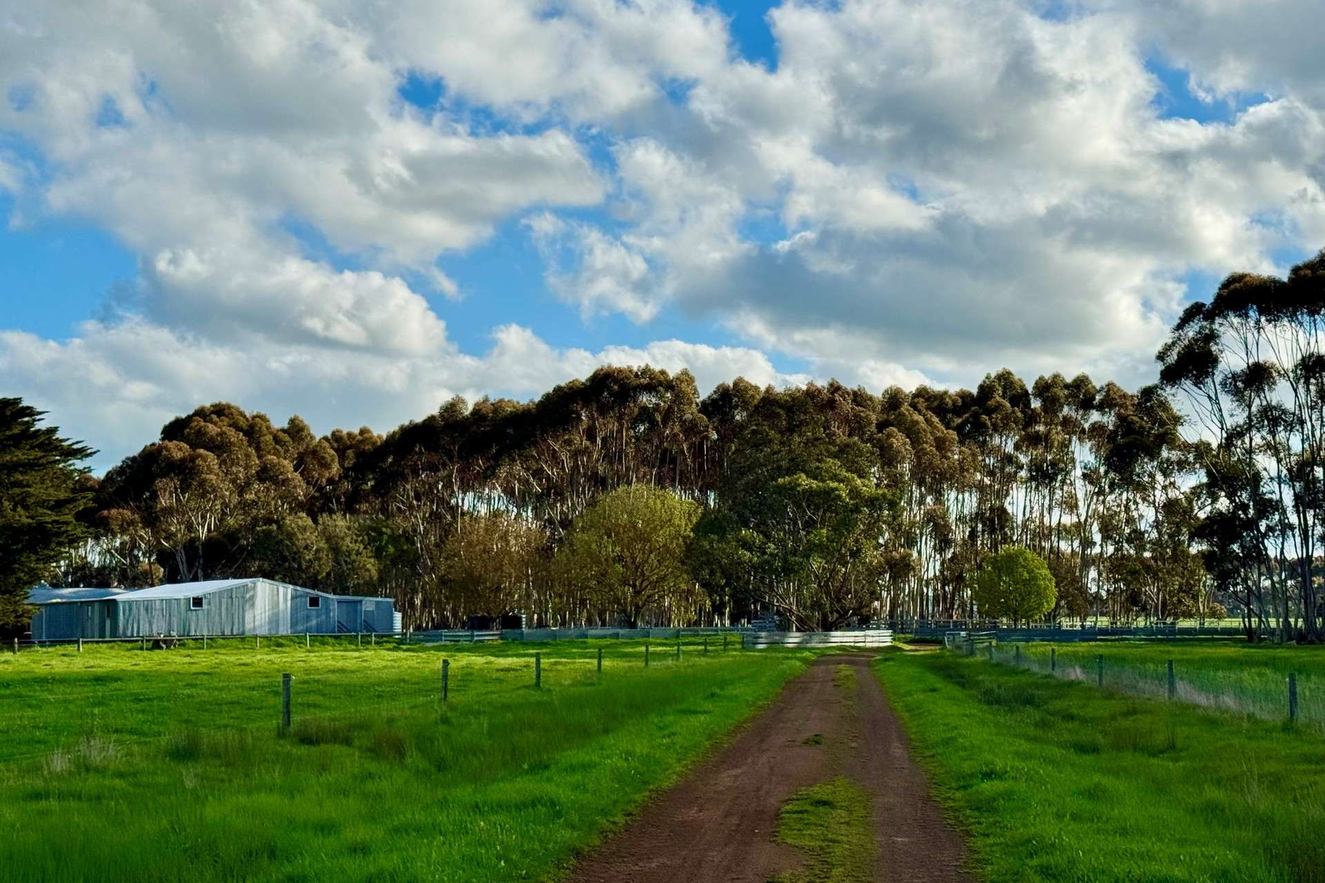 433 South Road, Mortlake For Sale by Farmbuy.com - image 10