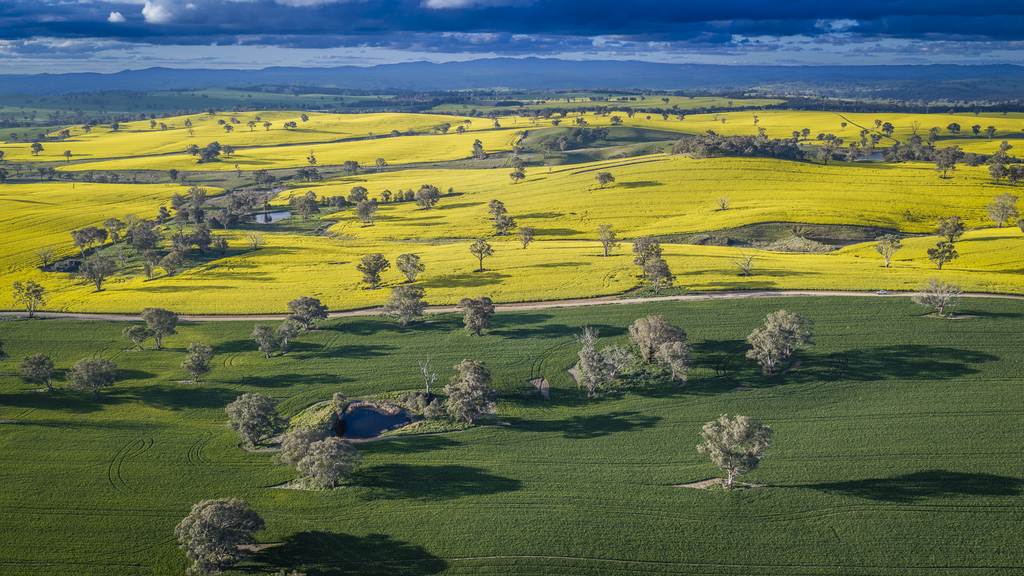 91 Kenny's Lane, Lyndhurst NSW 2350