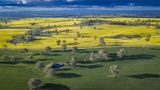 91 Kenny's Lane, Lyndhurst For Sale by Elders NSW Rural Real Estate