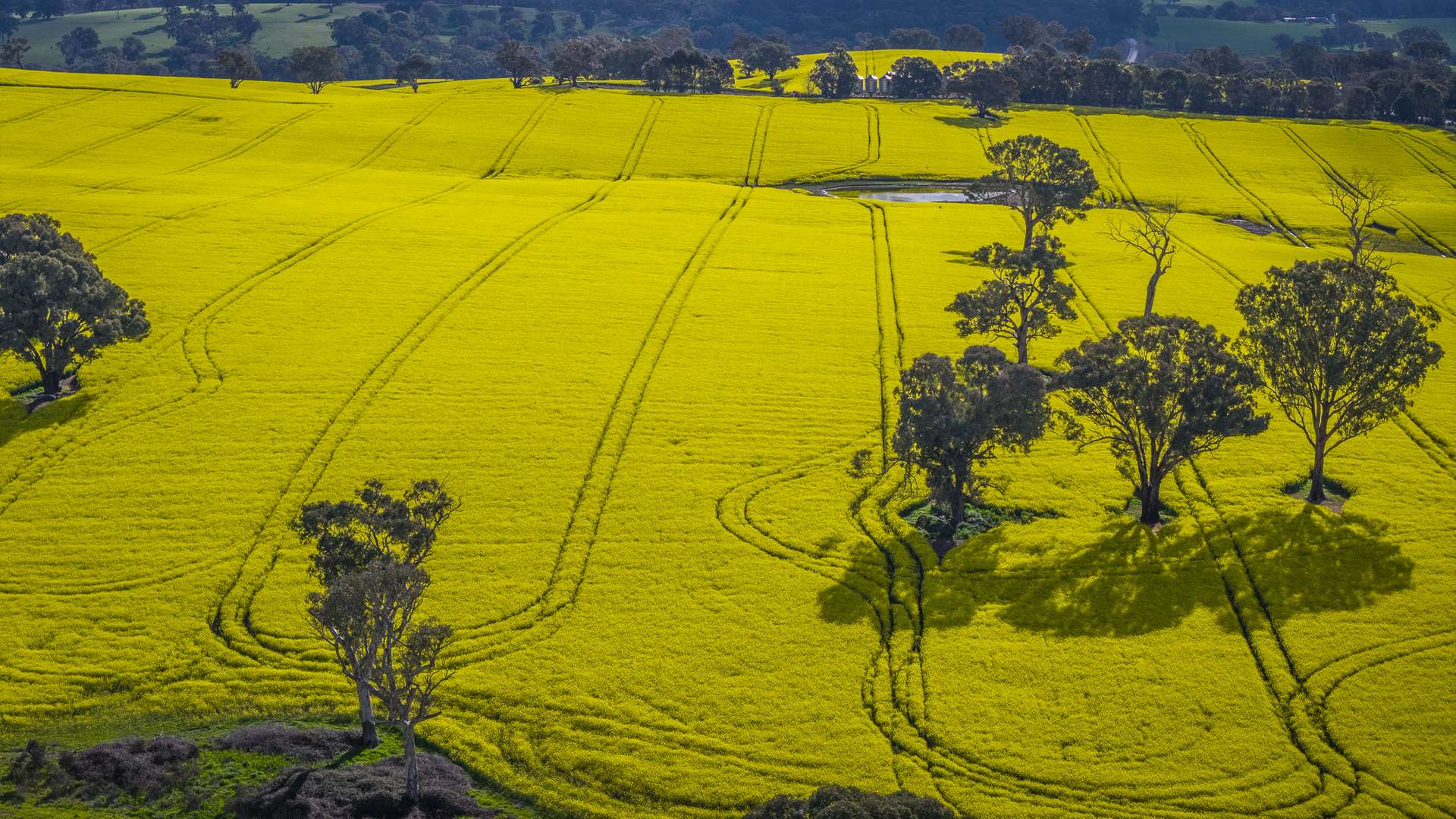 91 Kenny's Lane, Lyndhurst For Sale by Farmbuy.com - image 12