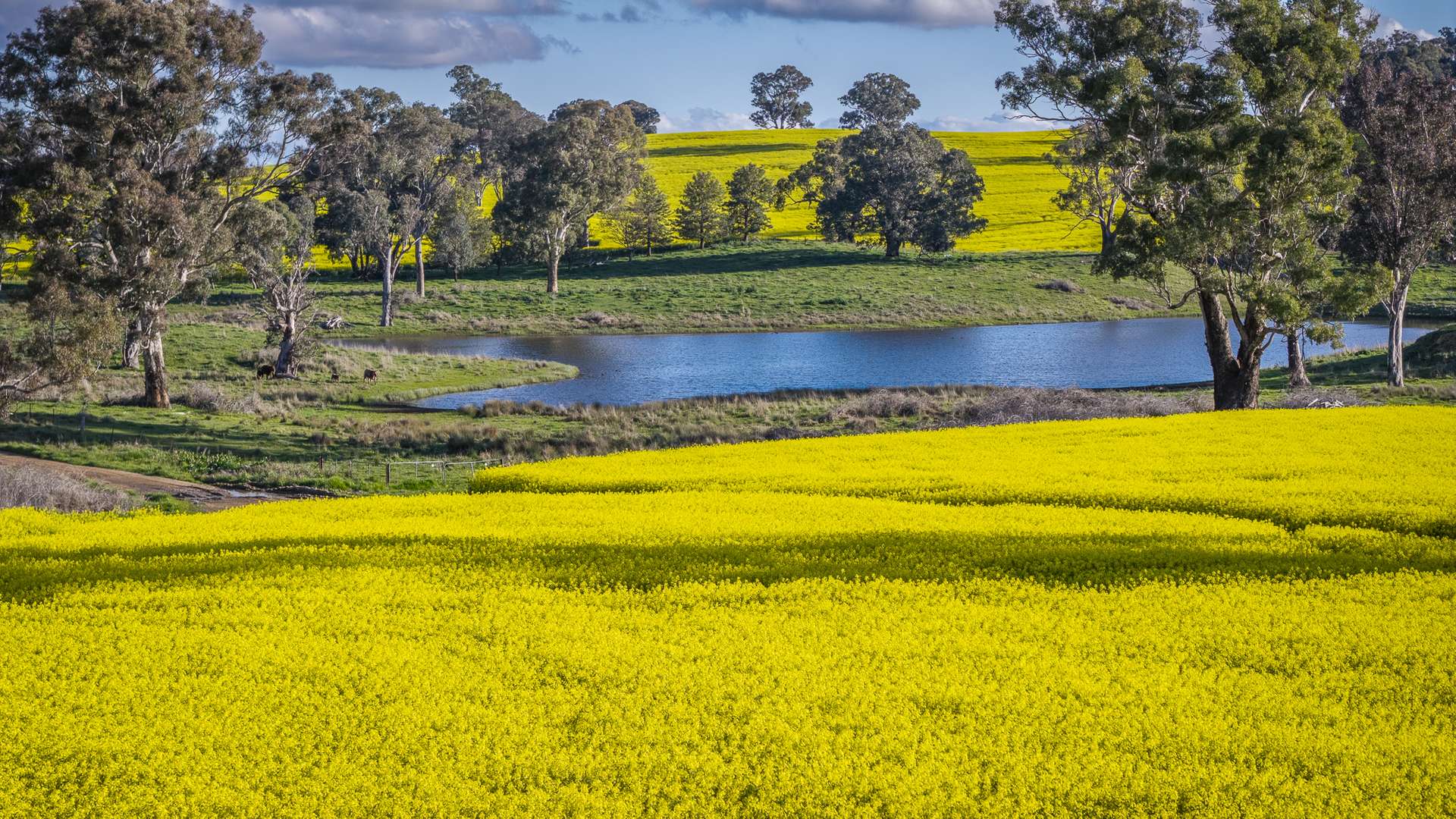 91 Kenny's Lane, Lyndhurst For Sale by Farmbuy.com - image 13
