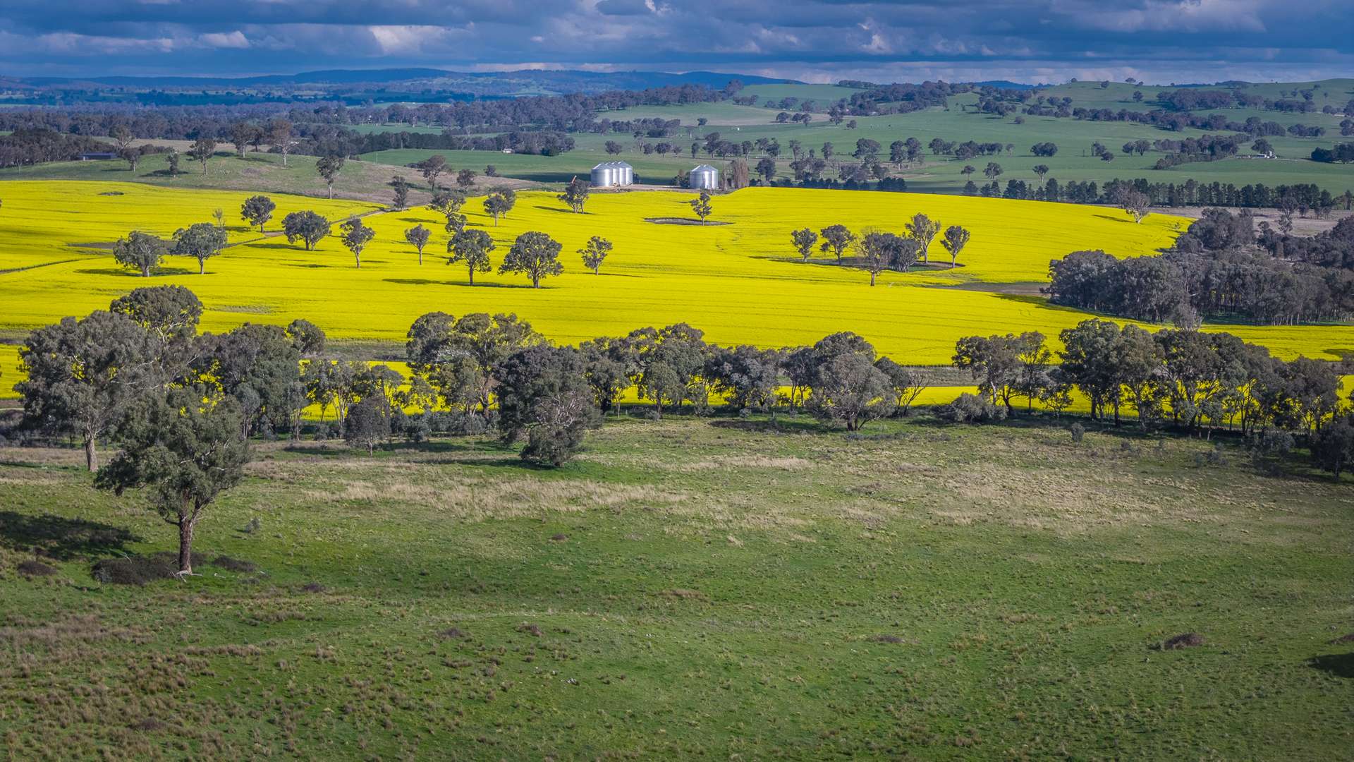 91 Kenny's Lane, Lyndhurst For Sale by Farmbuy.com - image 9