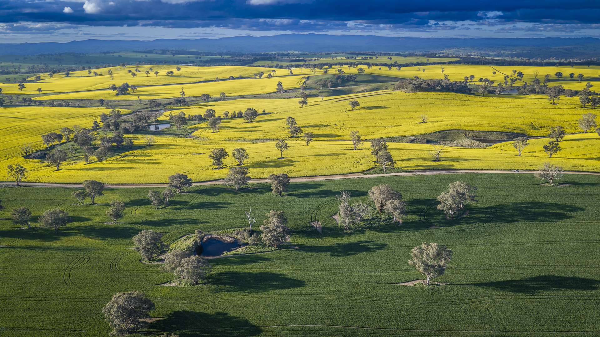 91 Kenny's Lane, Lyndhurst For Sale by Farmbuy.com - image 1