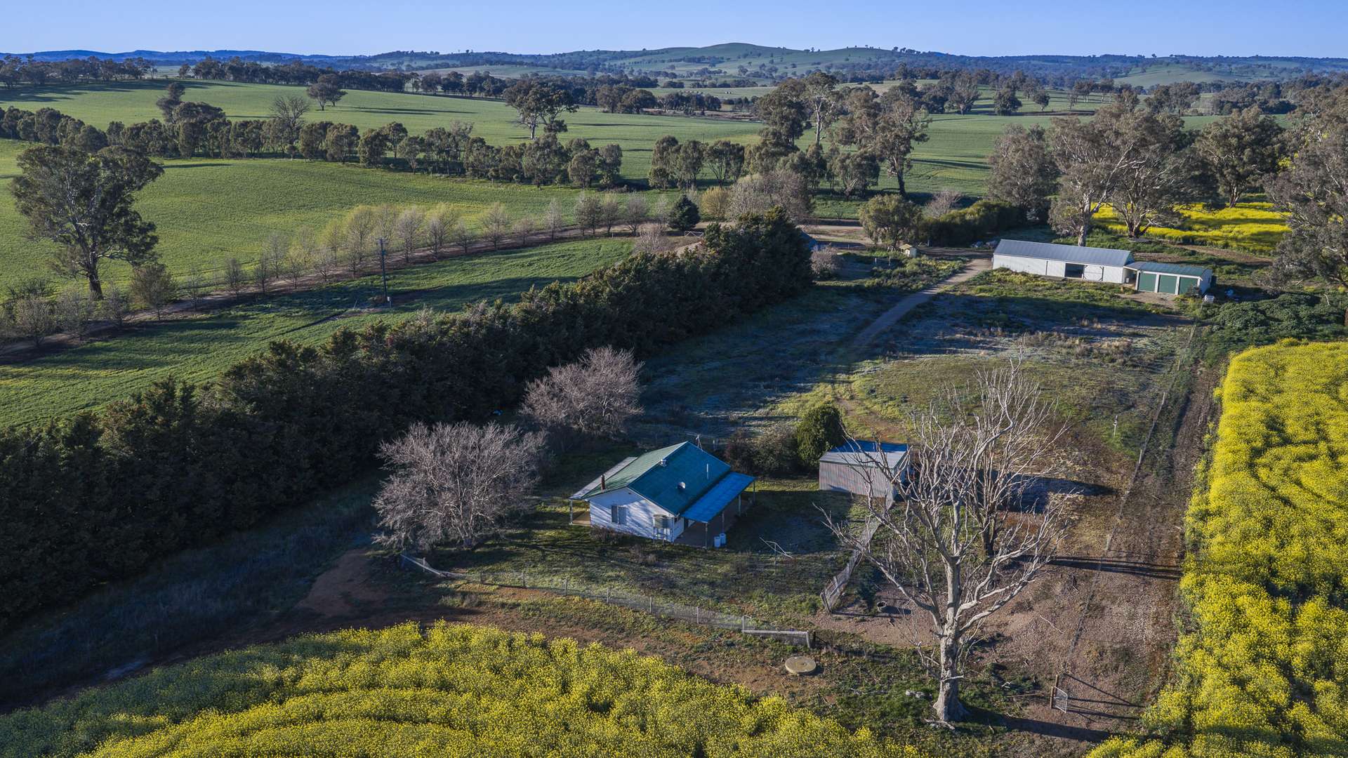 91 Kenny's Lane, Lyndhurst For Sale by Farmbuy.com - image 20