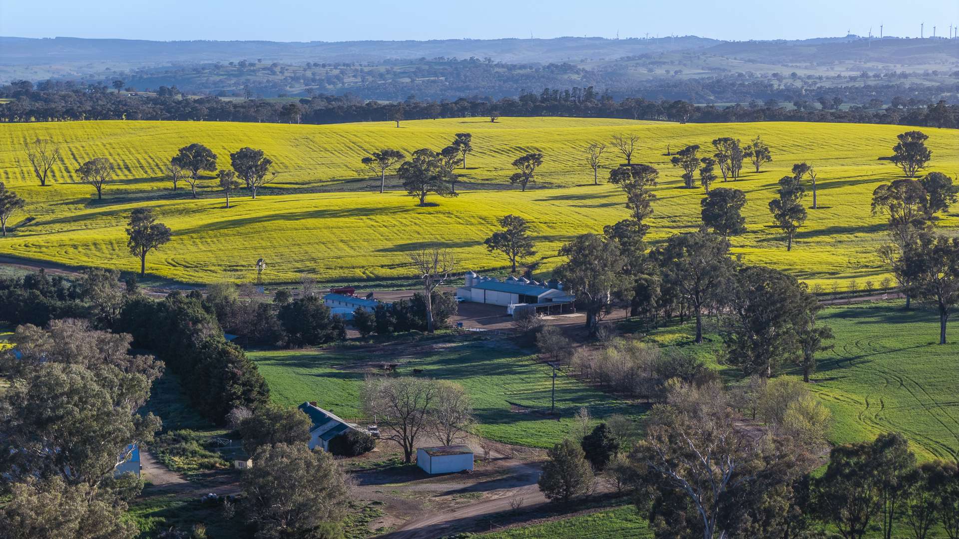 91 Kenny's Lane, Lyndhurst For Sale by Farmbuy.com - image 10