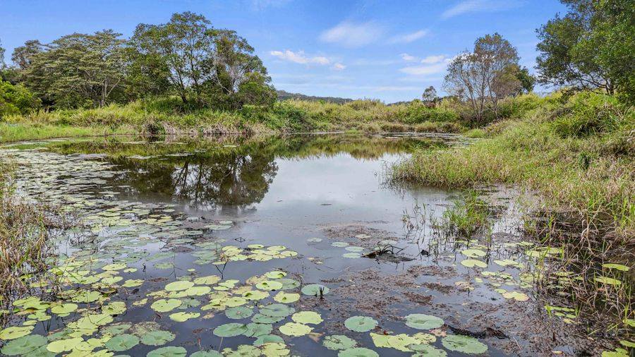 232 Stewart Rd, Coondoo For Sale by Farmbuy.com - image 13