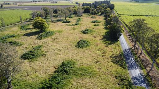 Farm For Sale - NSW - East Coraki - 2471 - Vacant Rural property - 47 acres 