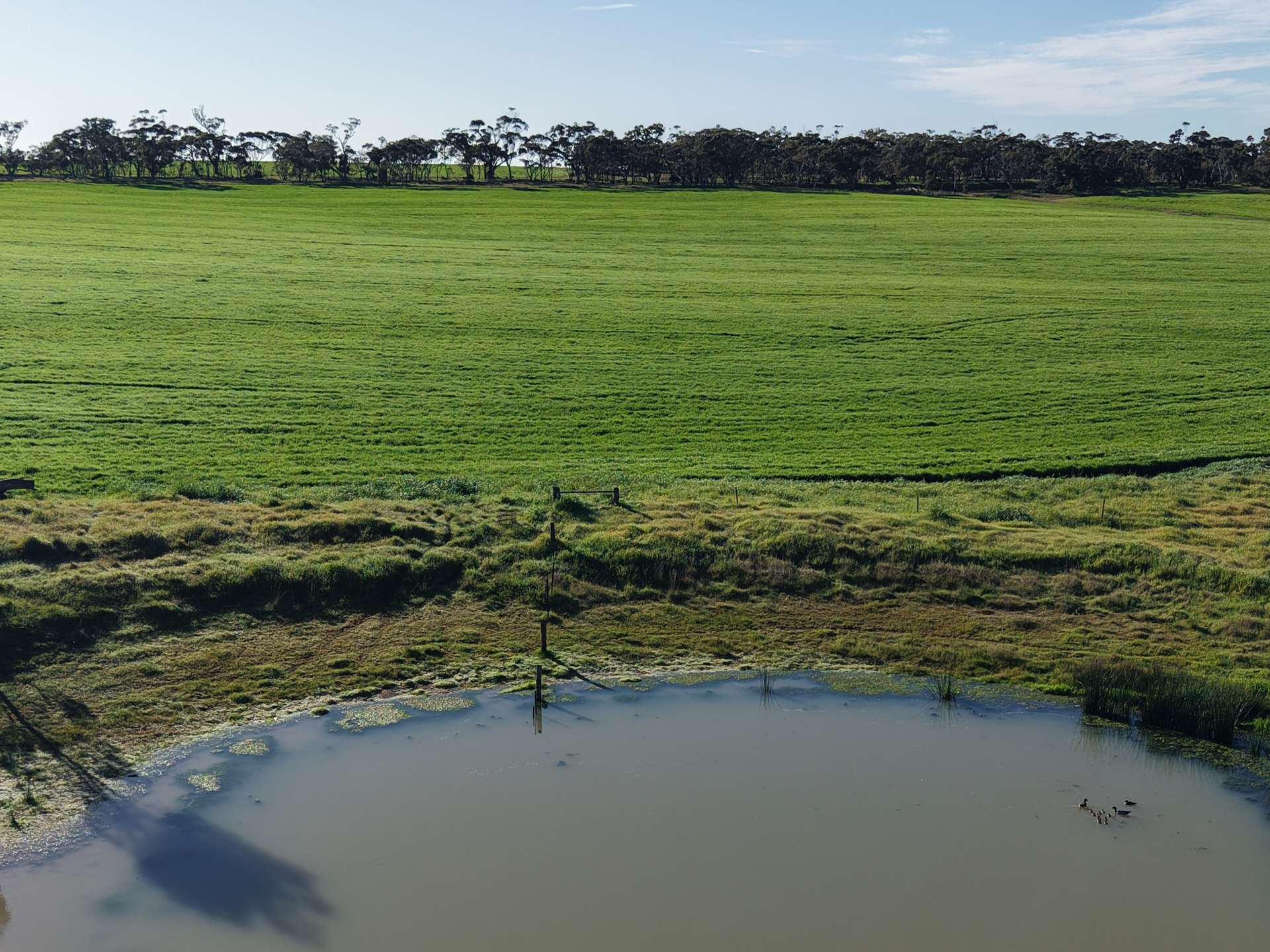 0 The Avenue Road, Kaniva For Sale by Farmbuy.com - image 12