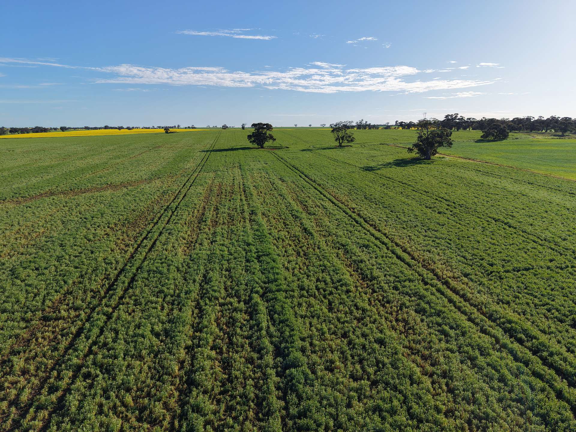0 The Avenue Road, Kaniva For Sale by Farmbuy.com - image 6