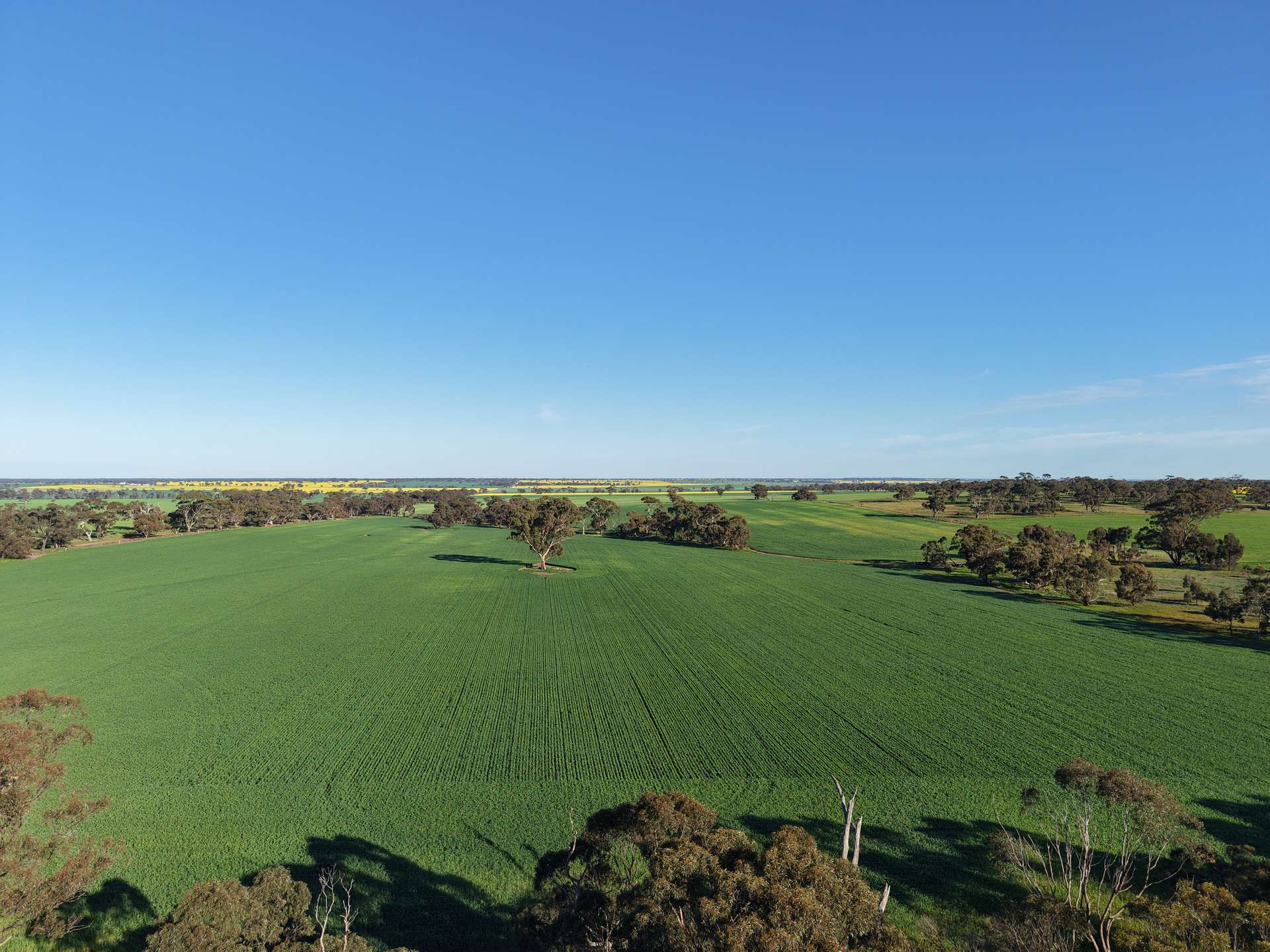 0 The Avenue Road, Kaniva For Sale by Farmbuy.com - image 3