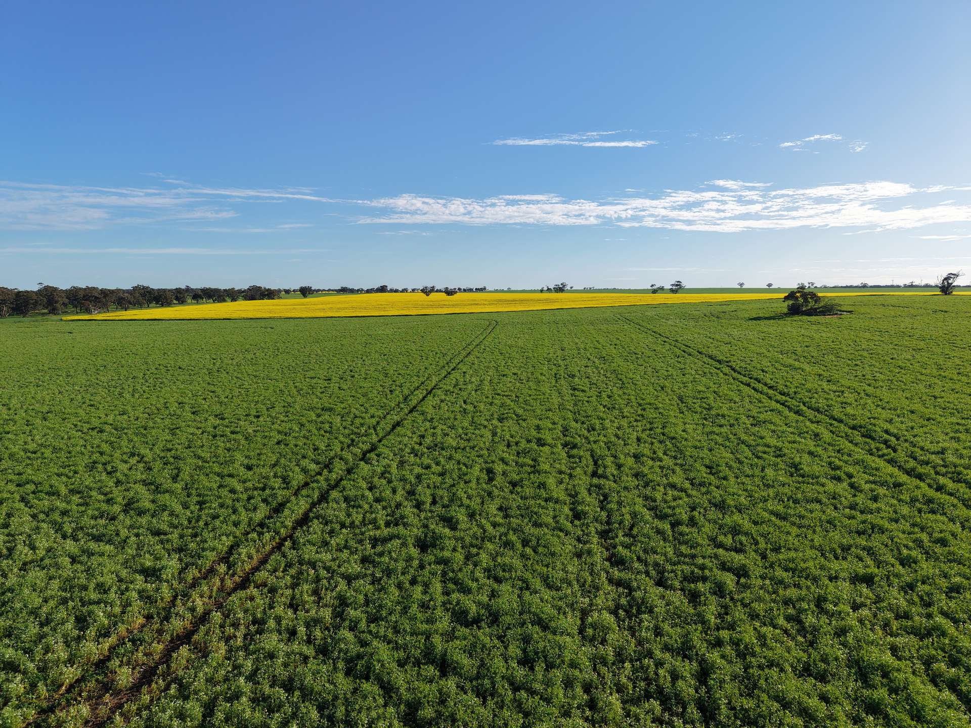 0 The Avenue Road, Kaniva For Sale by Farmbuy.com - image 4