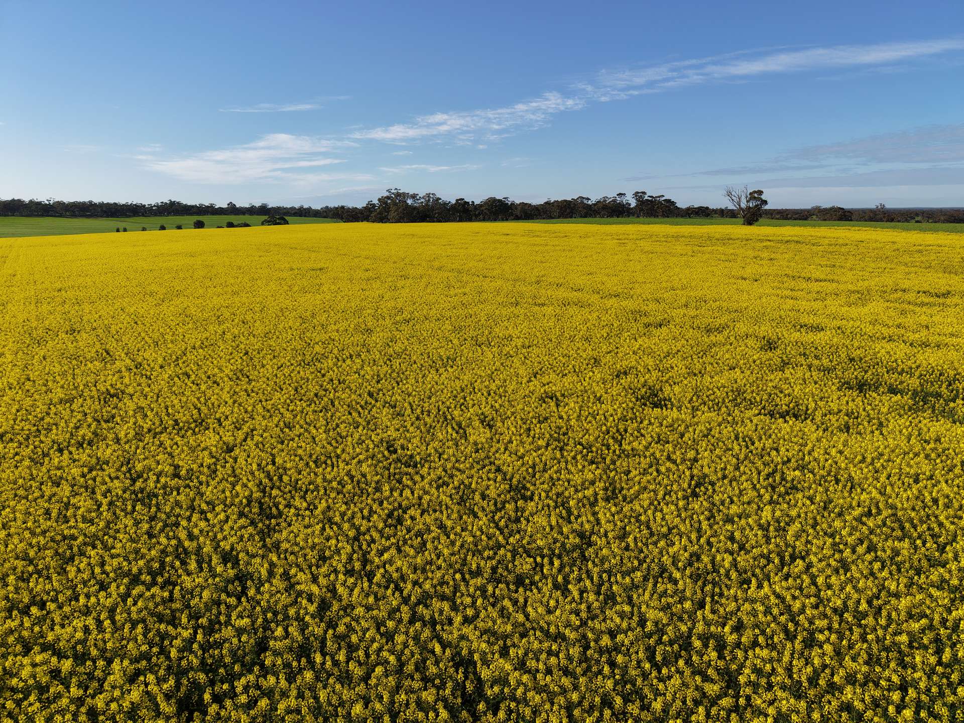 0 The Avenue Road, Kaniva For Sale by Farmbuy.com - image 10