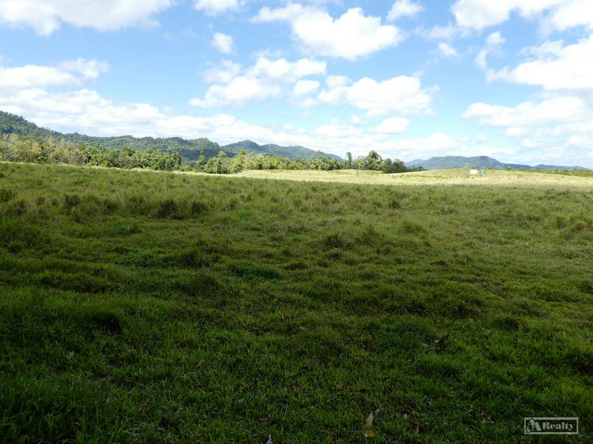Utchee Creek For Sale by Farmbuy.com - image 14