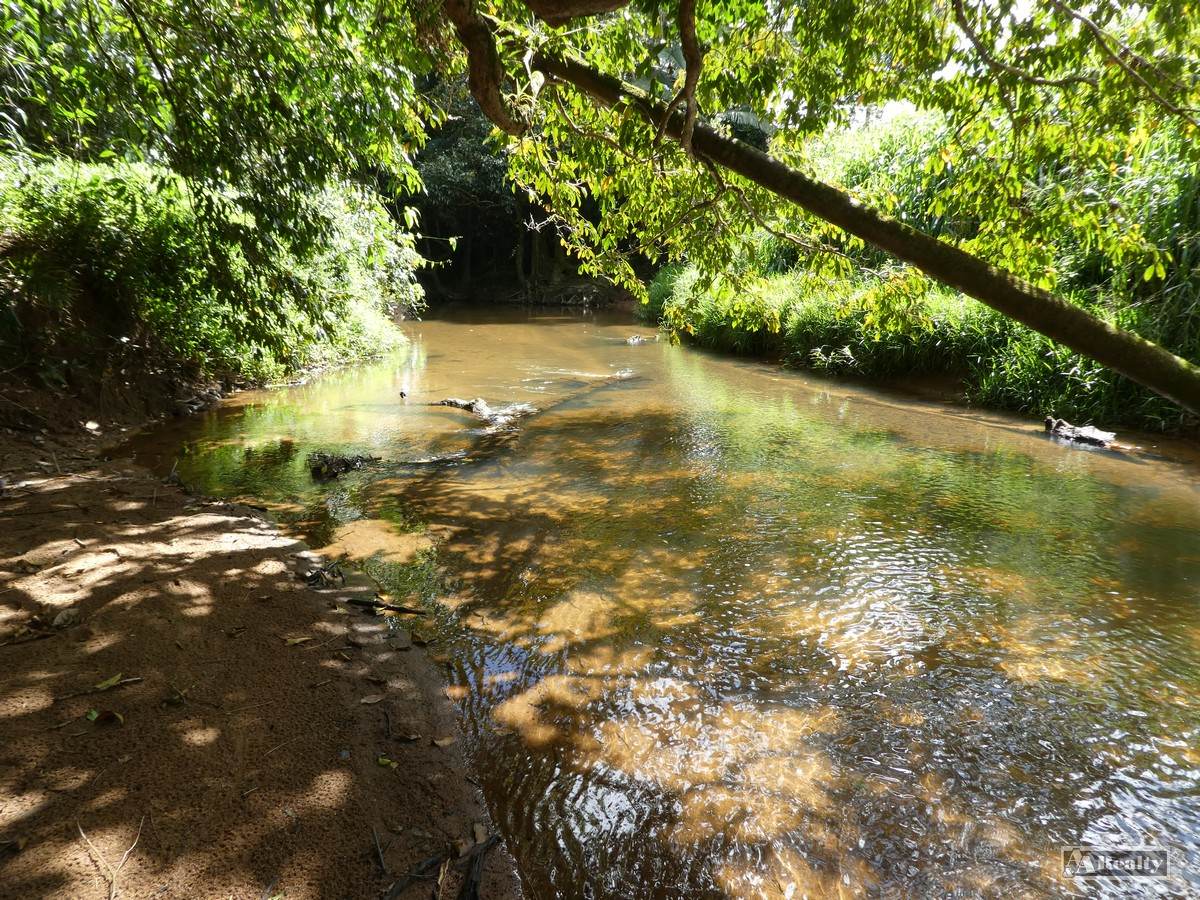 Utchee Creek For Sale by Farmbuy.com - image 2