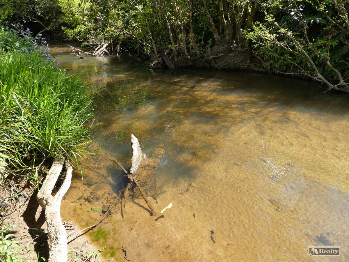 Utchee Creek For Sale by Farmbuy.com - image 4