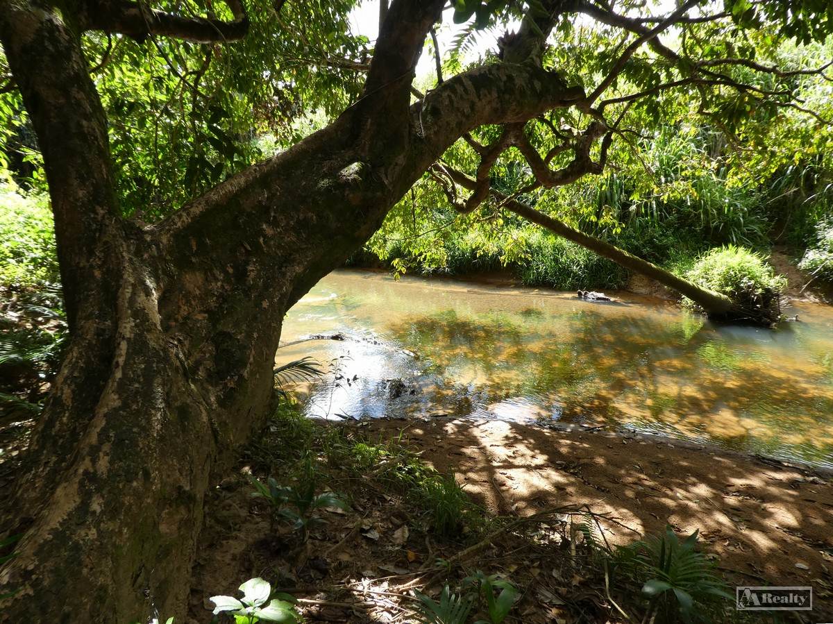 Utchee Creek For Sale by Farmbuy.com - image 3