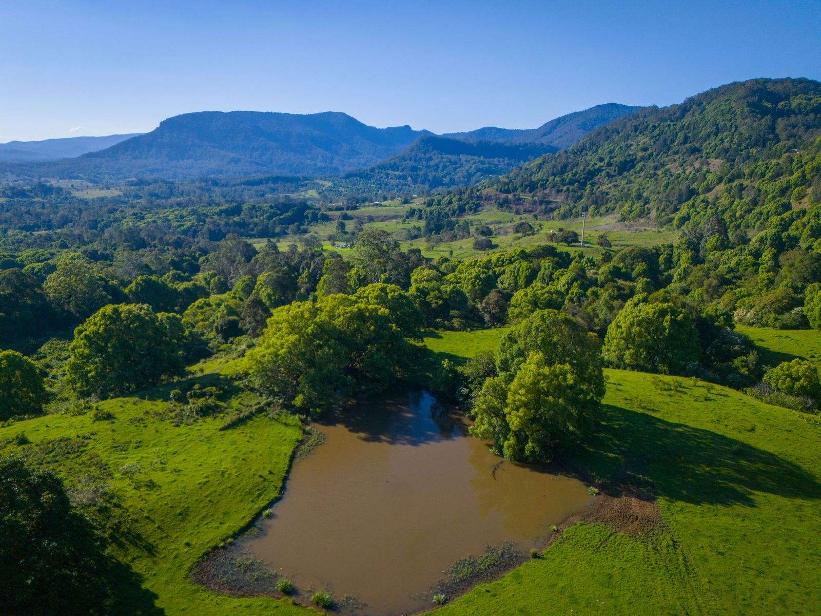 392 Tuntable Falls Road, Nimbin For Sale by Farmbuy.com - image 3
