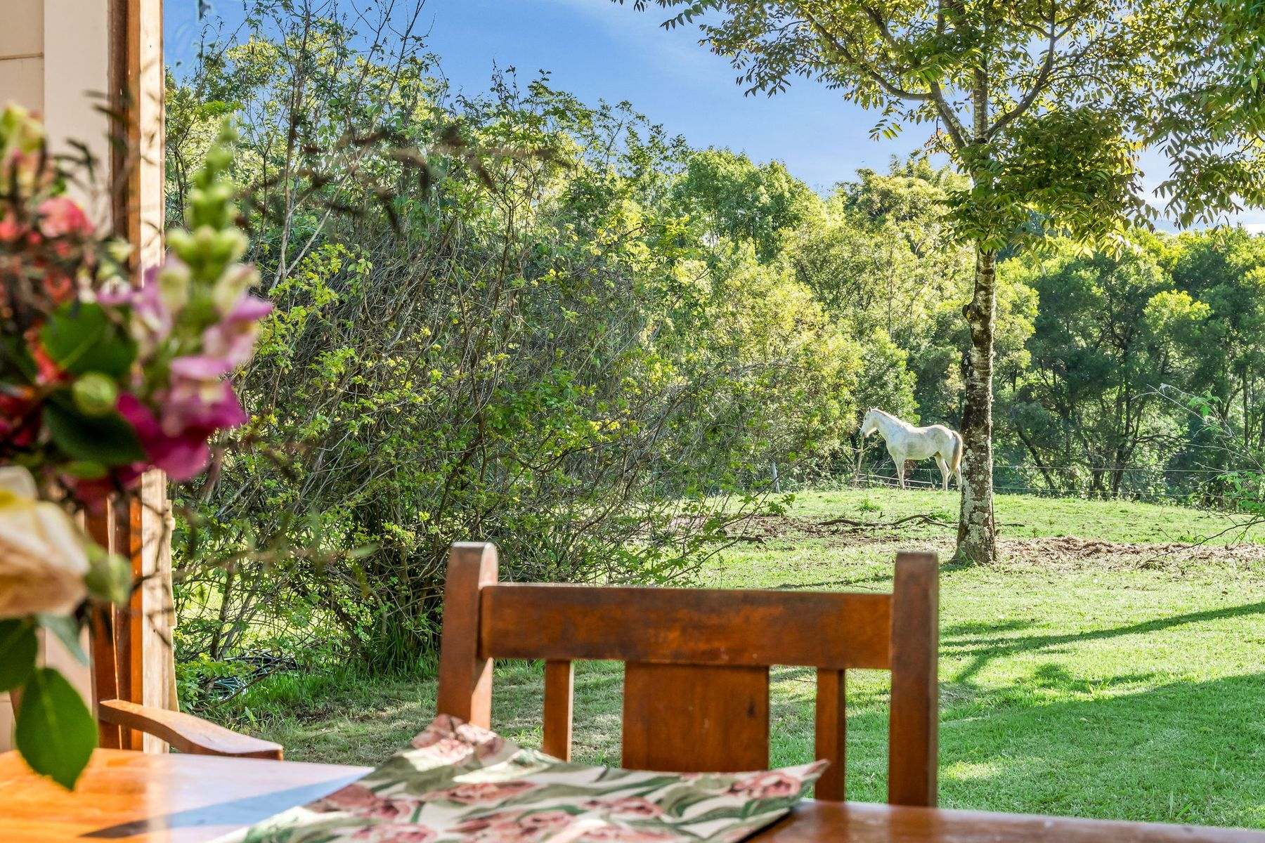 392 Tuntable Falls Road, Nimbin For Sale by Farmbuy.com - image 16