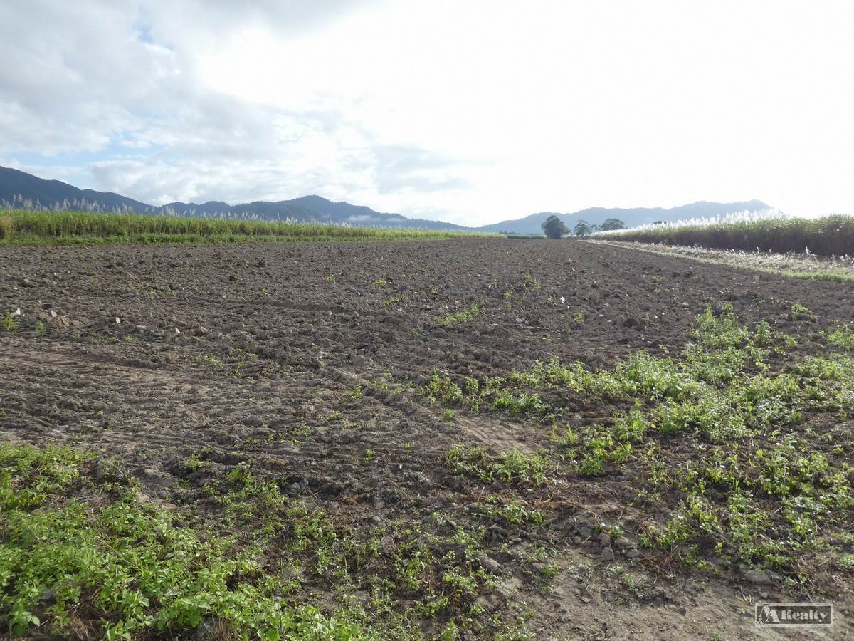 Midgenoo For Sale by Farmbuy.com - image 7