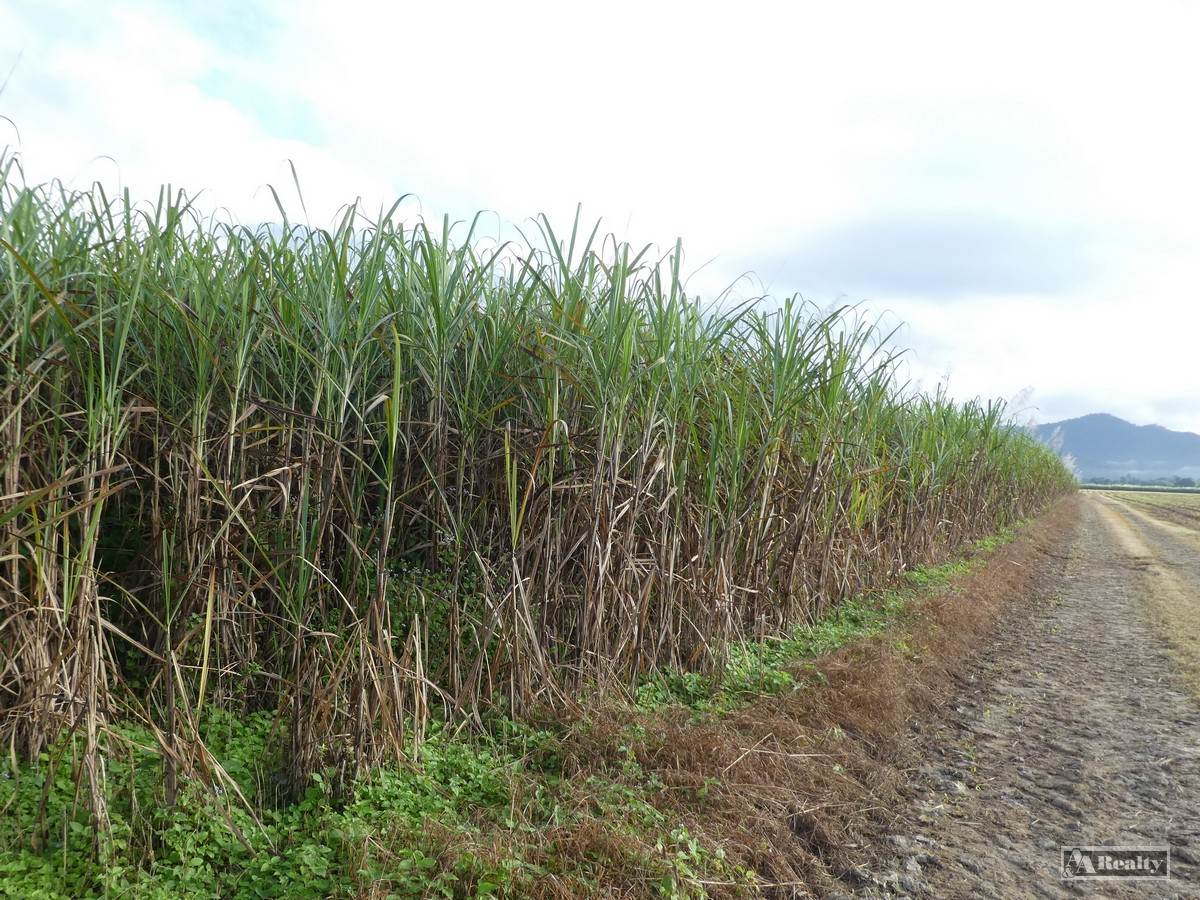 Midgenoo For Sale by Farmbuy.com - image 3