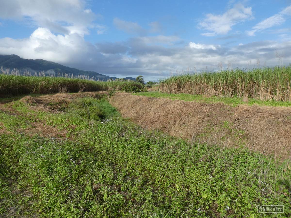 Midgenoo For Sale by Farmbuy.com - image 4