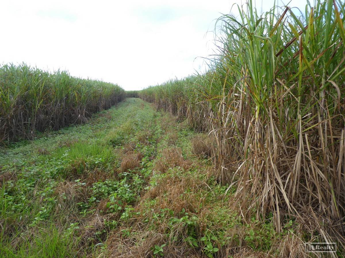Midgenoo For Sale by Farmbuy.com - image 2