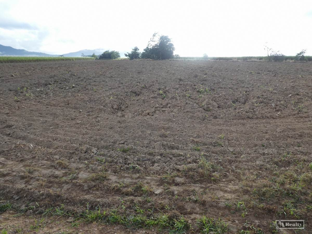 Midgenoo For Sale by Farmbuy.com - image 6