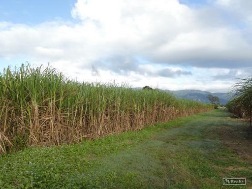Midgenoo QLD 4854