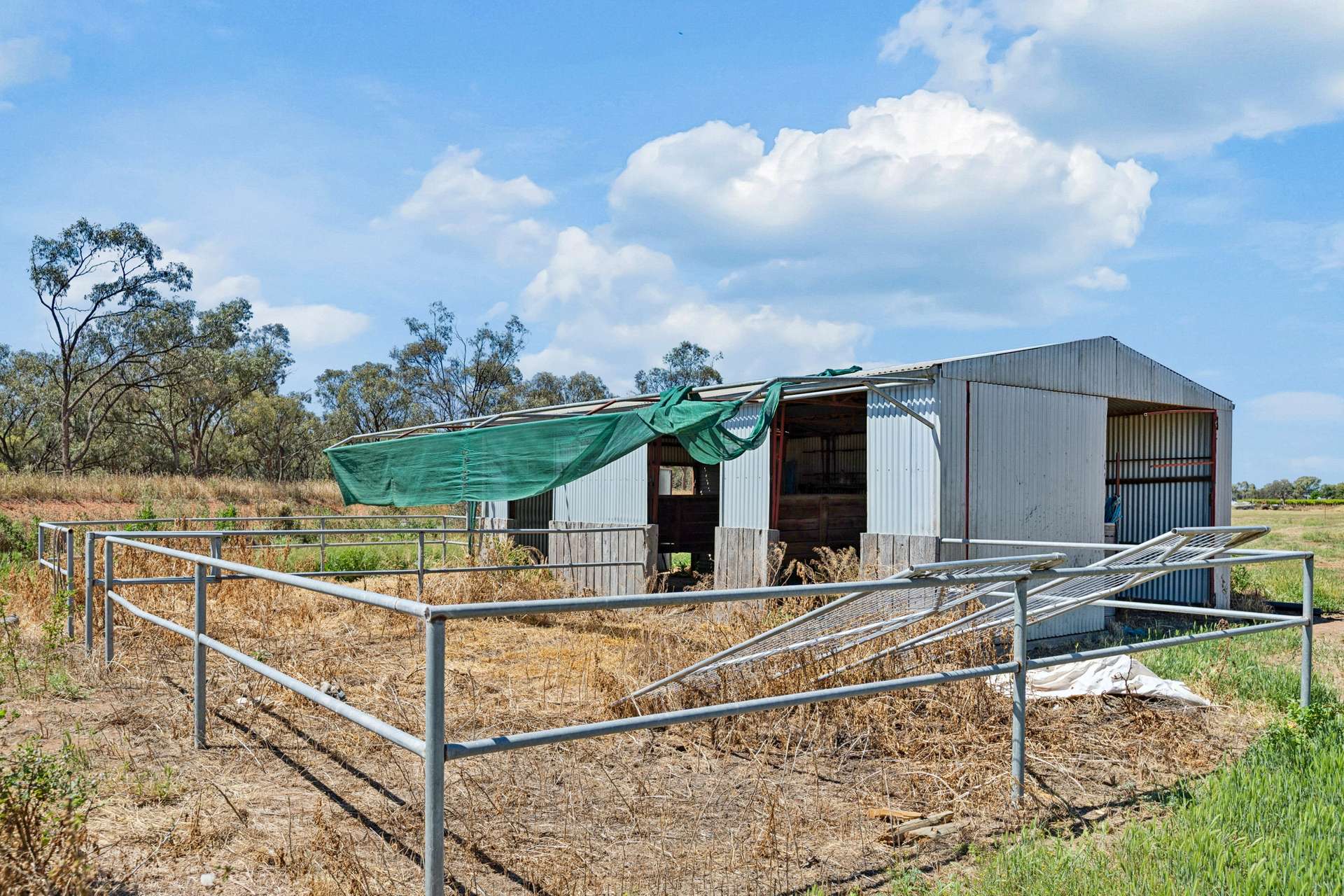54 Adcock Road, Robinvale For Sale by Farmbuy.com - image 24