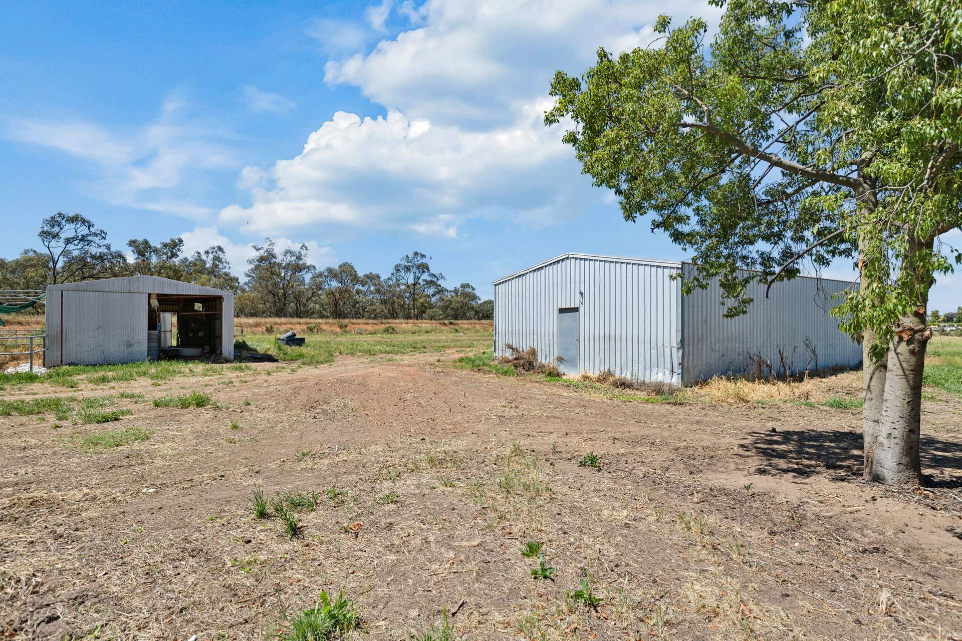 54 Adcock Road, Robinvale For Sale by Farmbuy.com - image 23