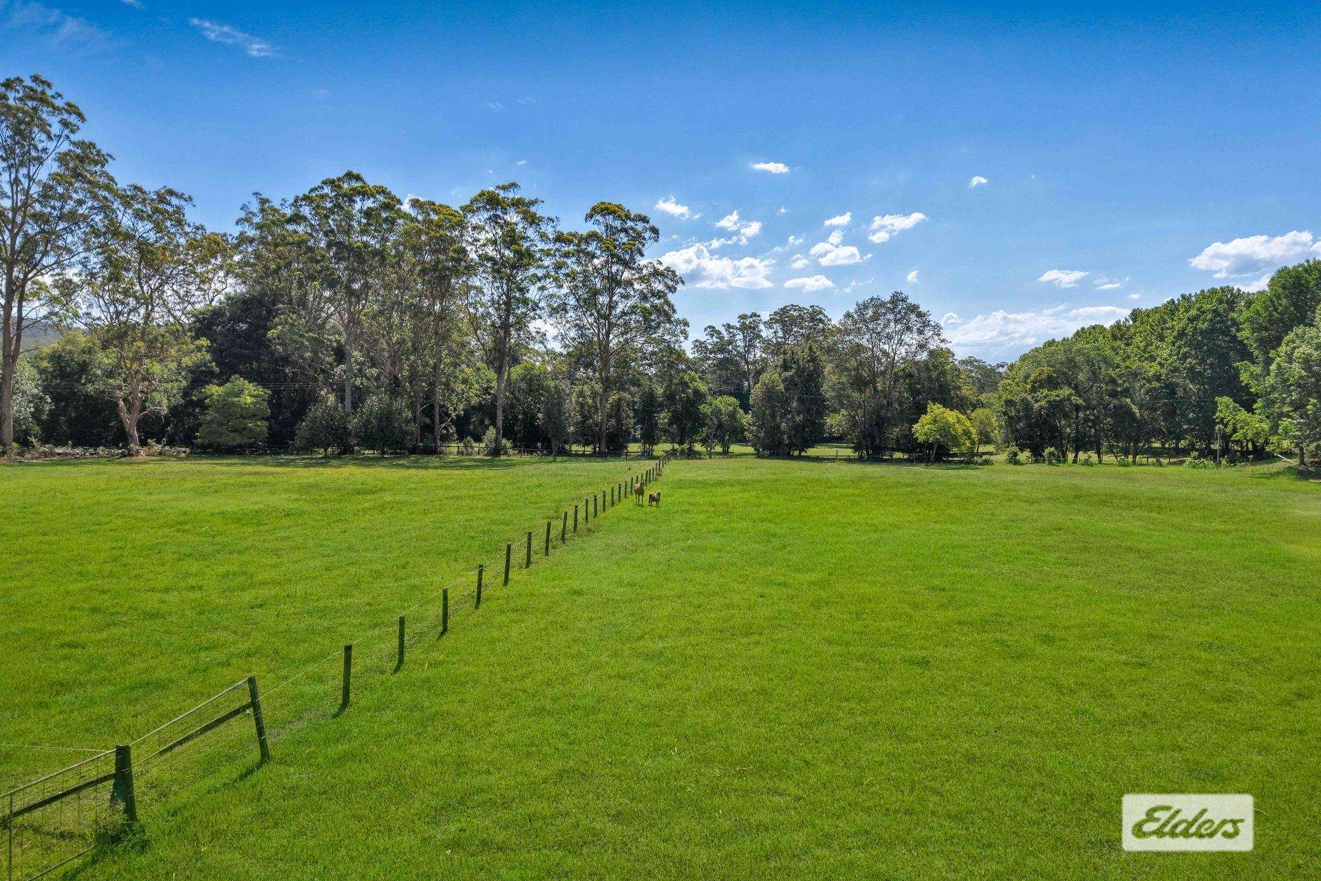 23 Kidmans Lane, Wyong Creek For Sale by Farmbuy.com - image 3