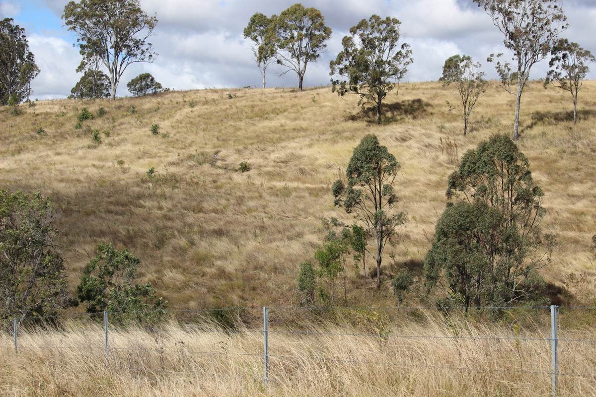 231 Dascombe Road, Coalbank For Sale by Farmbuy.com - image 12