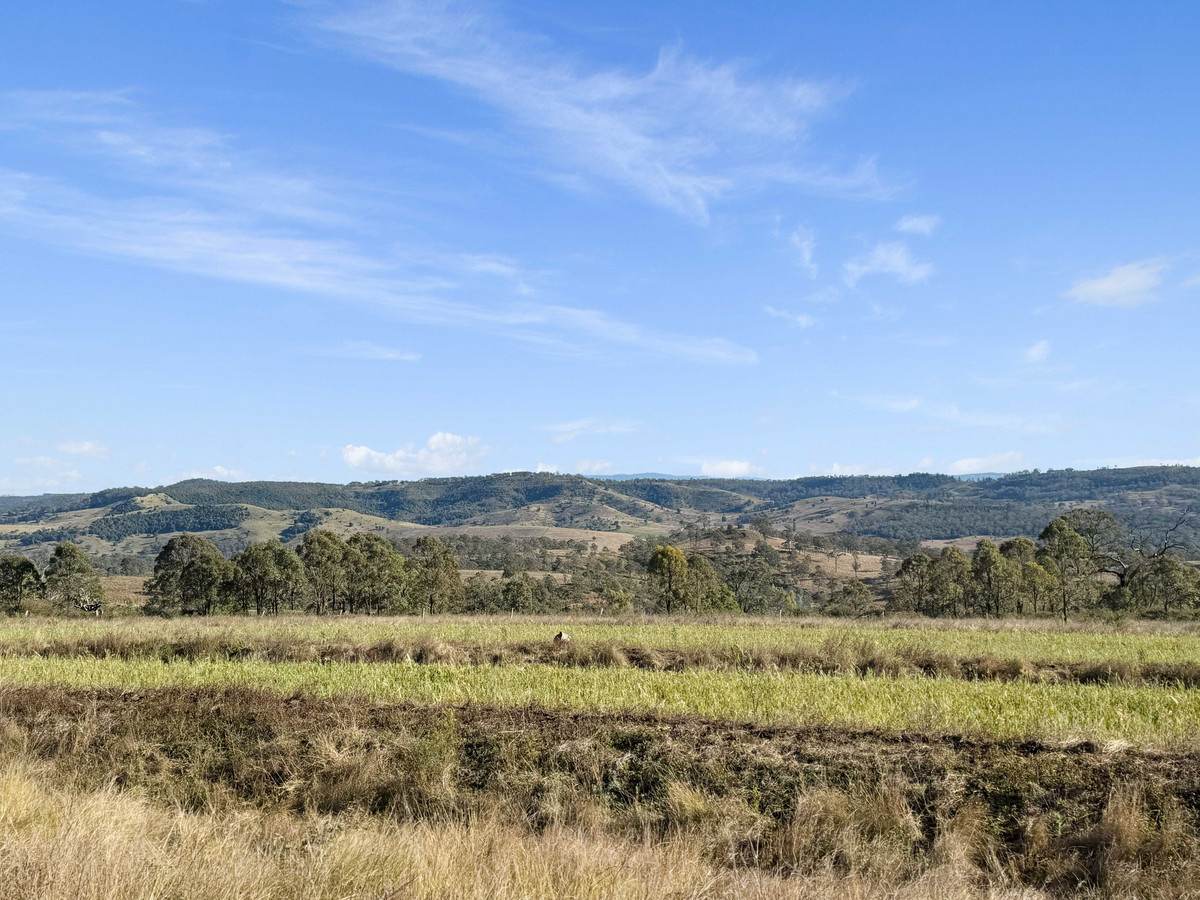231 Dascombe Road, Coalbank For Sale by Farmbuy.com - image 6