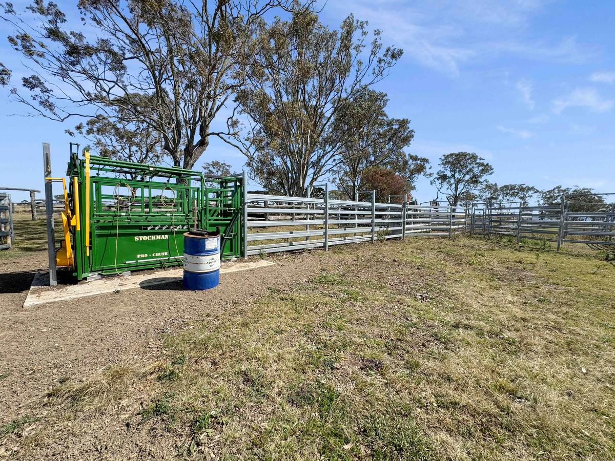 231 Dascombe Road, Coalbank For Sale by Farmbuy.com - image 3