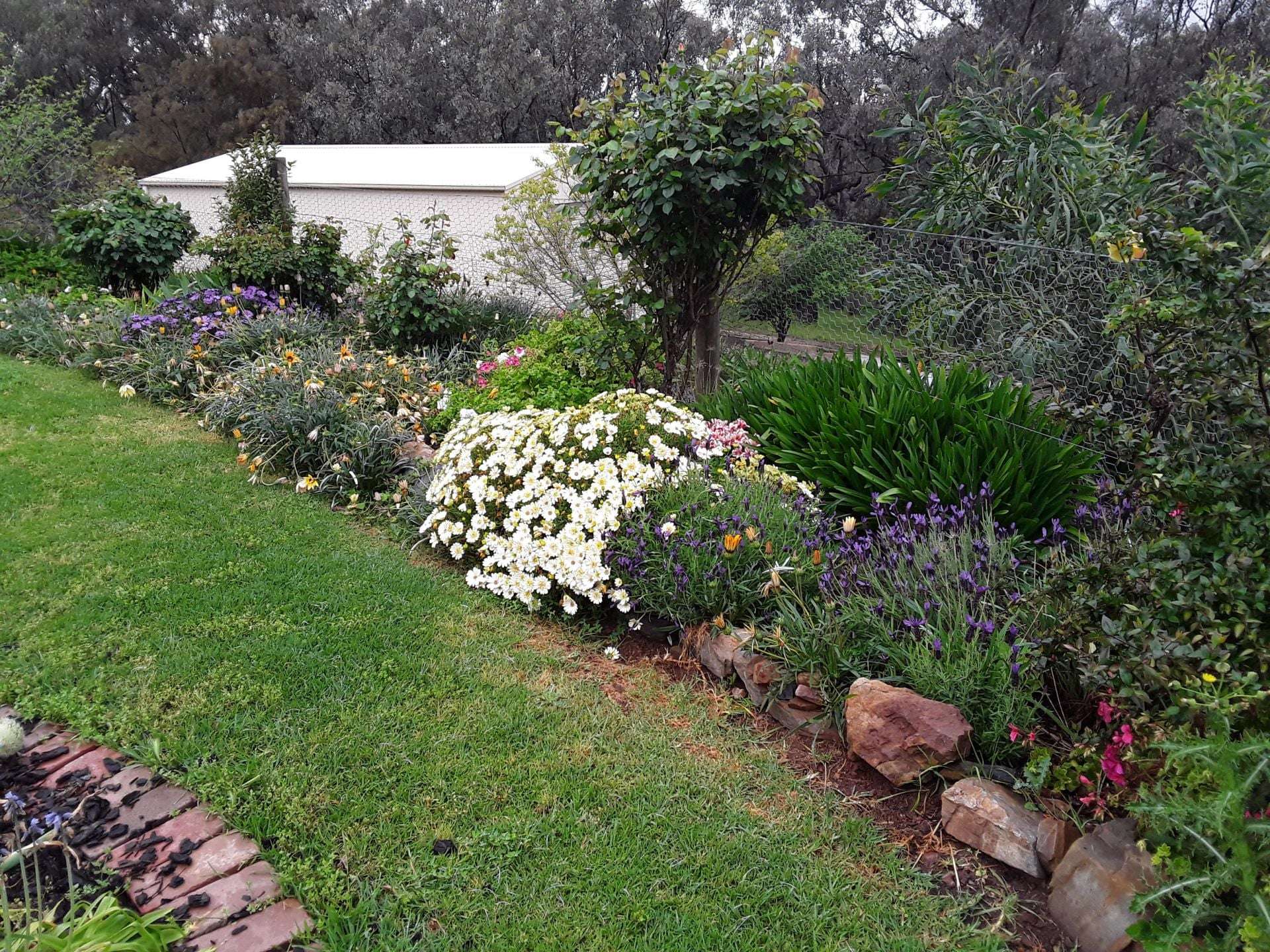 61 Ferris Street, Thoona For Sale by Farmbuy.com - image 30
