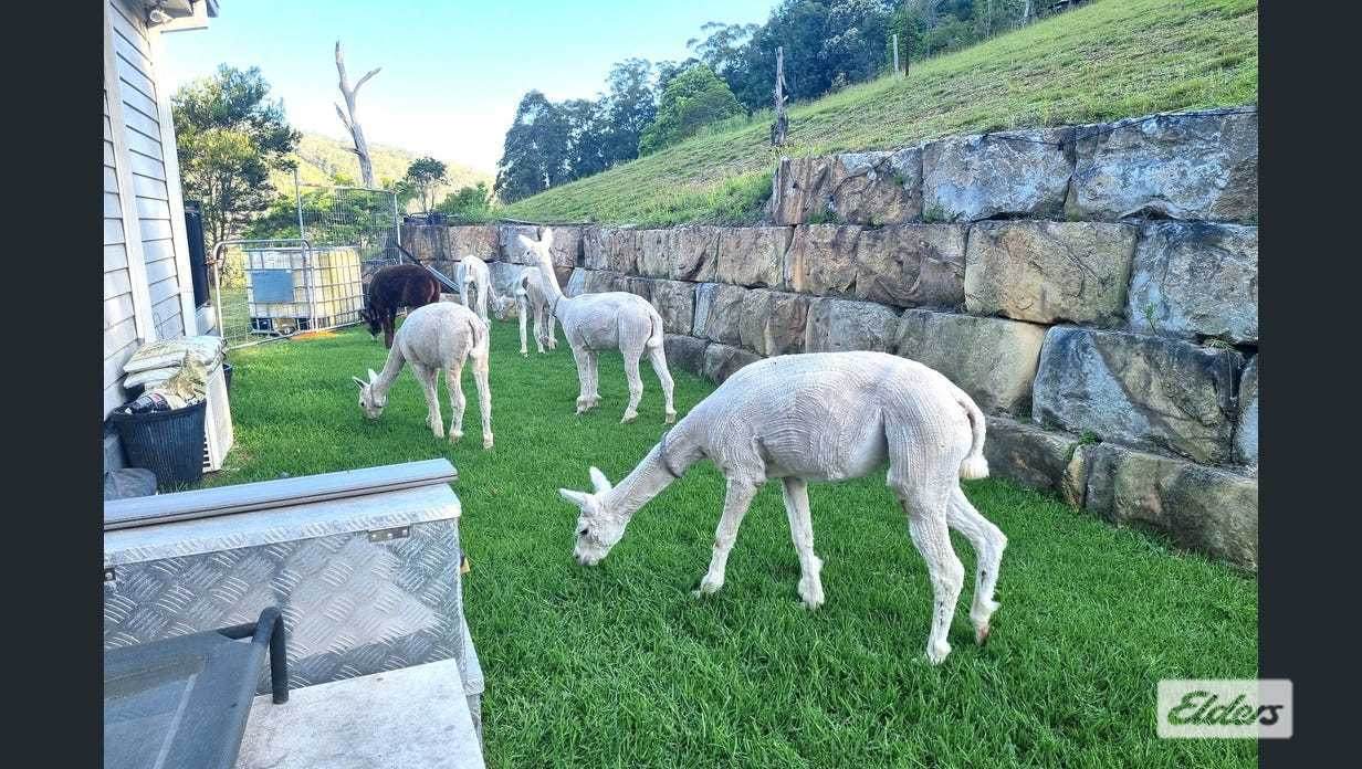 3 Rose Hill Lane, Yarramalong For Sale by Farmbuy.com - image 28