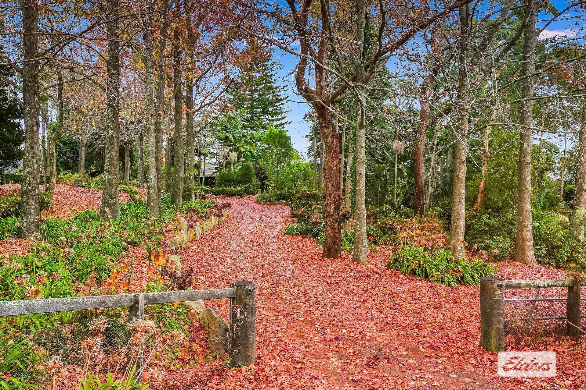 234 Forest Road, Kulnura For Sale by Farmbuy.com - image 2