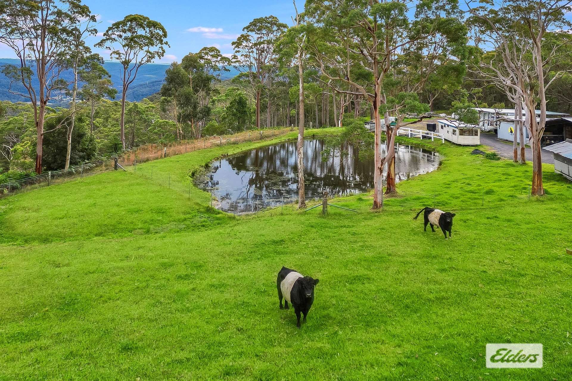 234 Forest Road, Kulnura For Sale by Farmbuy.com - image 17