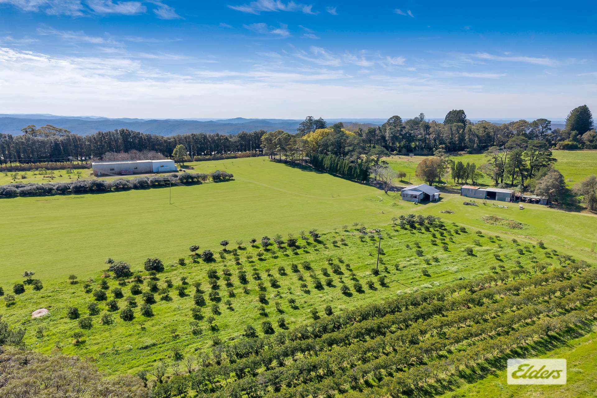 323 Forest Road, Kulnura For Sale by Farmbuy.com - image 4