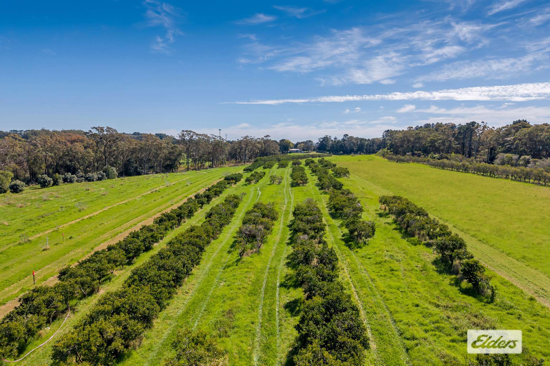323 Forest Road, Kulnura For Sale by Farmbuy.com - image 10